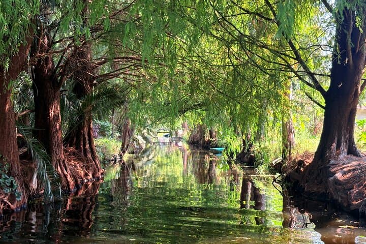 Prehispanic Xochimilco:Sailing Chinampas, axolotls, bird watching
