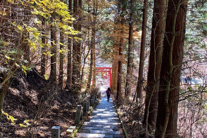富士山を望むプライベートハイキングツアー