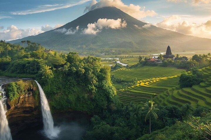 Ubud Bali Fahrer ( Bali Custom Tour )