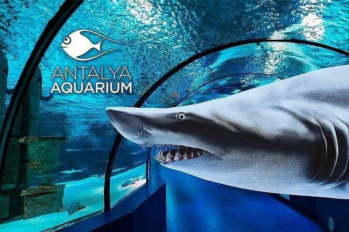 Acuario privado y parque de atracciones de Antalya desde el lado | All Inclusive