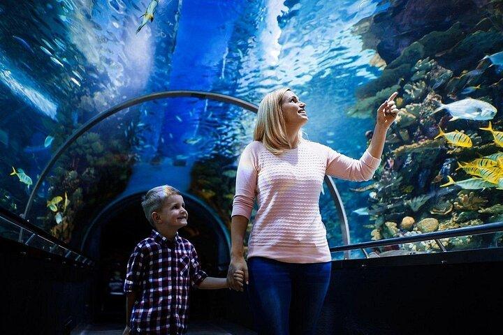 プライベートアンタルヤ水族館＆ファンパーク横から|オールインクルシブ