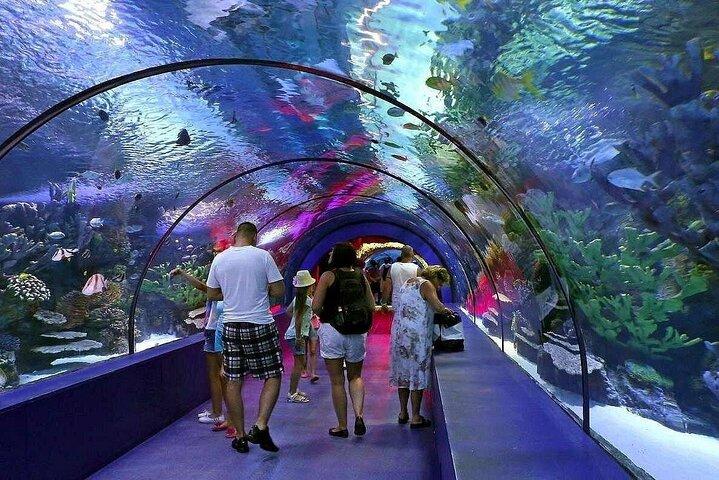 プライベートアンタルヤ水族館＆ファンパーク横から|オールインクルシブ