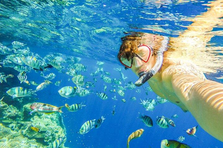 Sharm El-Sheikh : Ras Mohammed Snorkeling, Lago Magico e Porta di Allah