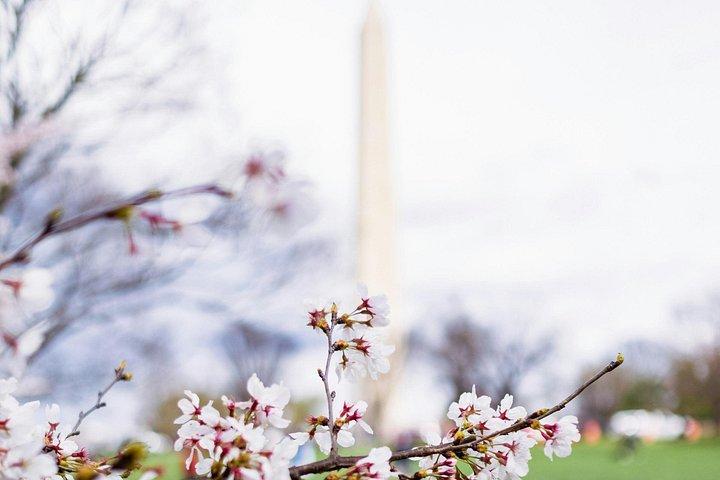 ワシントンDCモニュメントツアー（10＋停留所とボートクルーズ付き）