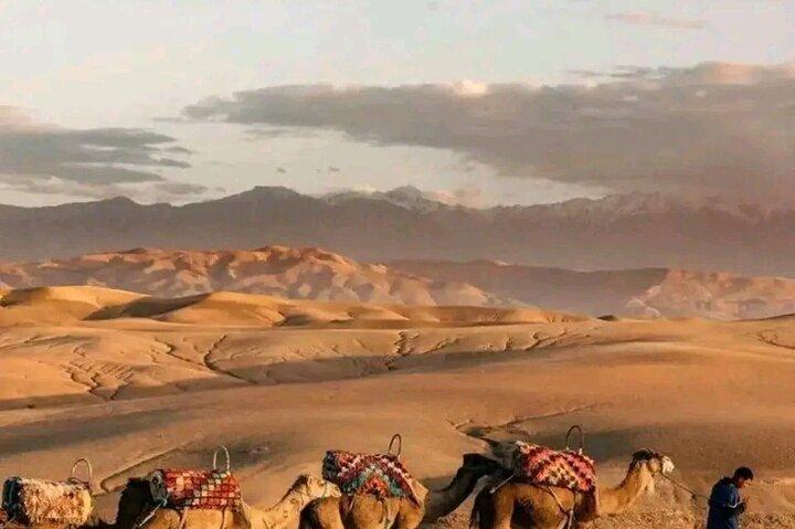 Desert Agafay Tour con spettacolo Cena / Quad Bike & Giro in Cammello al tramonto