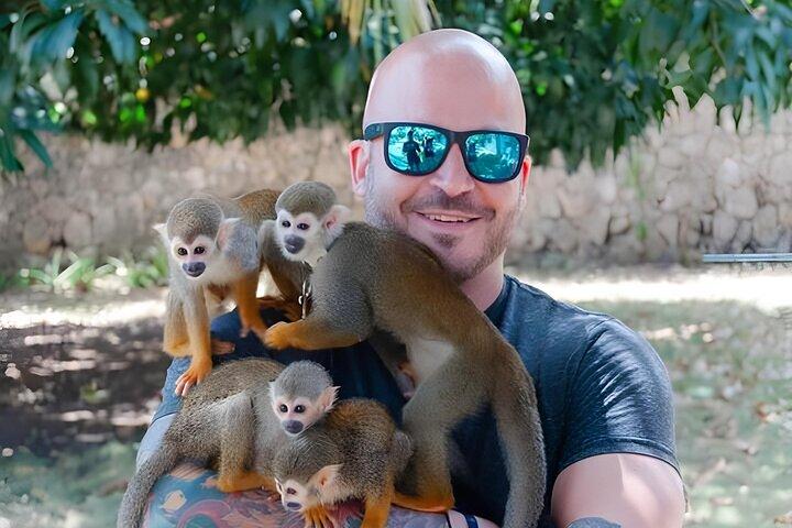 3x1 : Monkey Land Cascate e carrozzine a Puerto Plata