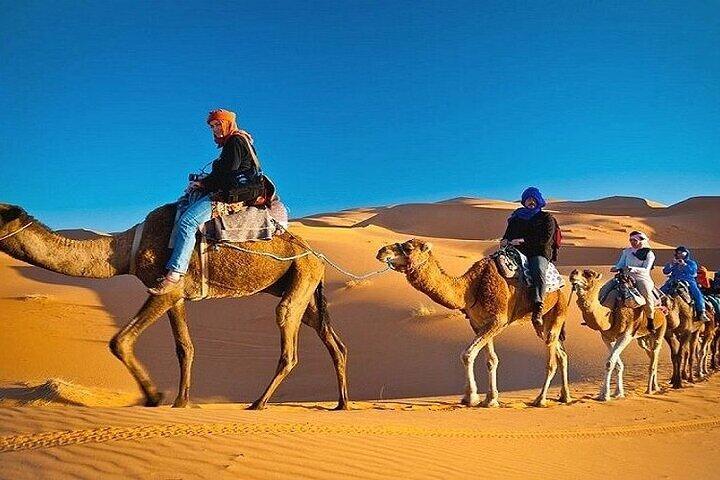 Sharm El Sheikh Desert Quad Safari met sterrenkijken en BBQ-diner