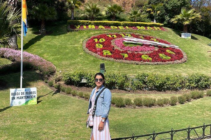 Valparaiso, Boat, Vineyard of the Sea and Tasting in Vineyard Boutique