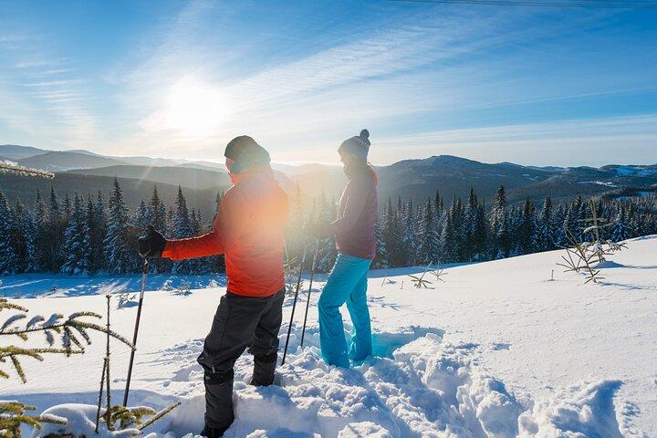Aventura guiada con raquetas de nieve en el bosque boreal