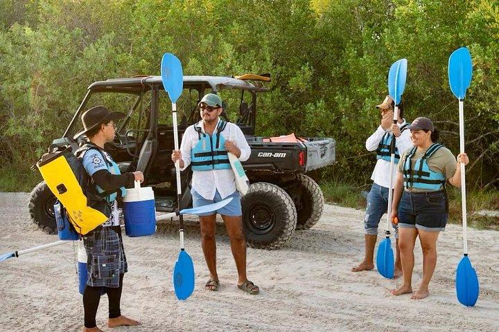 Tour the Mangroves in Kayak by Isla Holbox
