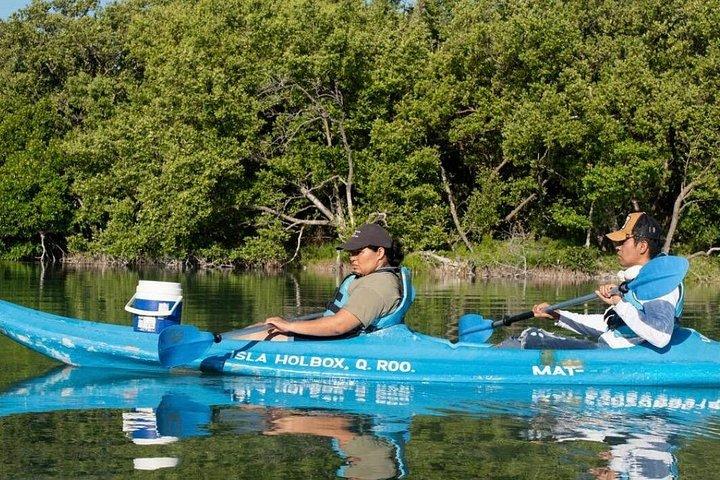 Tour the Mangroves in Kayak by Isla Holbox