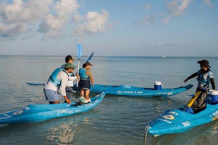 Tour the Mangroves in Kayak by Isla Holbox