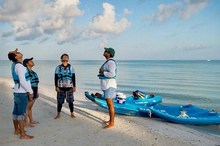 Tour the Mangroves in Kayak by Isla Holbox