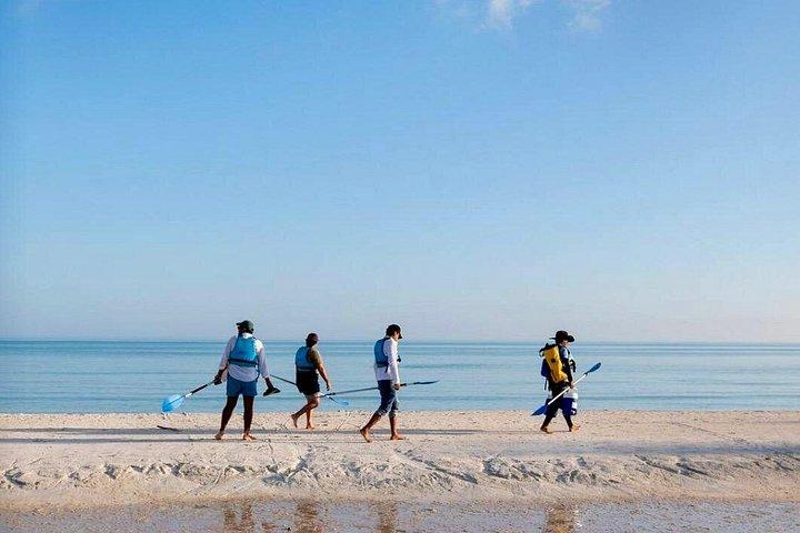Tour the Mangroves in Kayak by Isla Holbox
