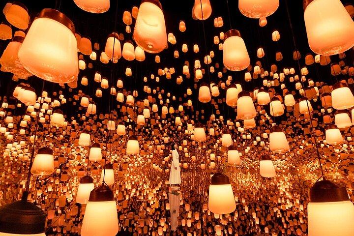 Discover Kyoto TeamLab Biovortex Experience