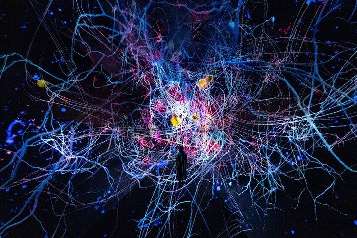 Discover Kyoto TeamLab Biovortex Experience