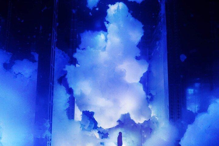 Discover Kyoto TeamLab Biovortex Experience