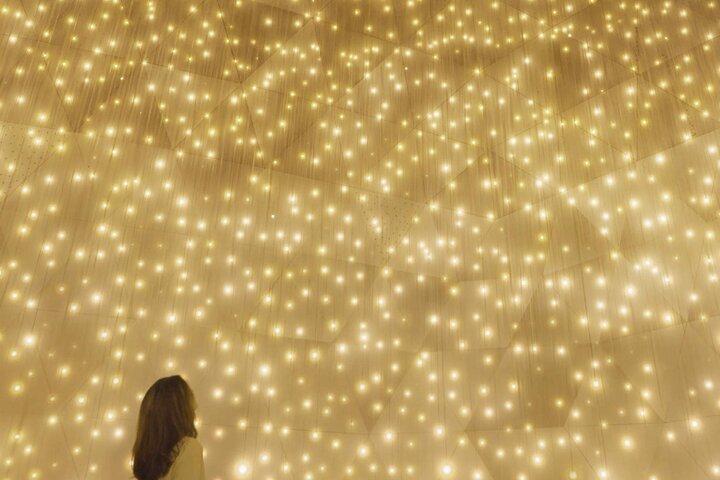 Discover Kyoto TeamLab Biovortex Experience