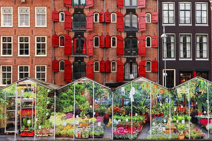 Amsterdam Visite audioguidée à pied 3h et 21 commentaires audios