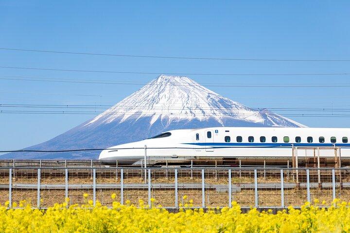 スペイン語または英語ガイド付きのプライベートでパーソナライズされた東京ツアー