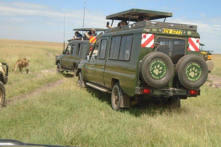 3-tägige Masai Mara Gruppensafari mit Abholung