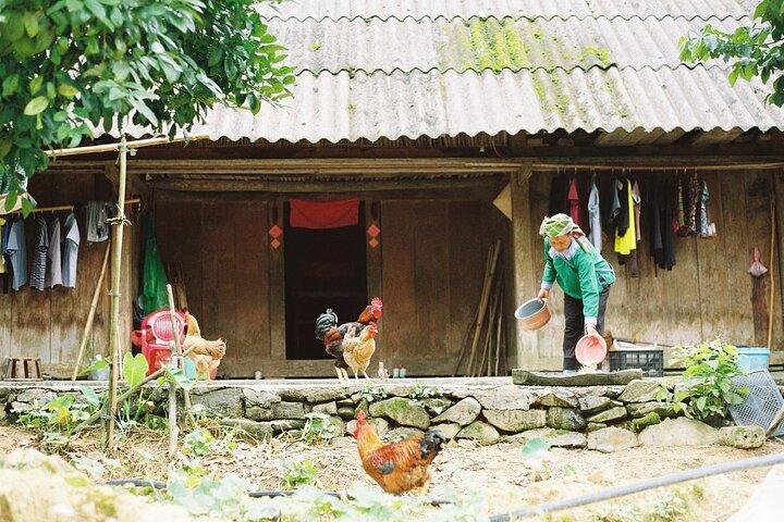 Scenic Sapa Trekking Tour Explore Rice Terraces, Ethnic Villages
