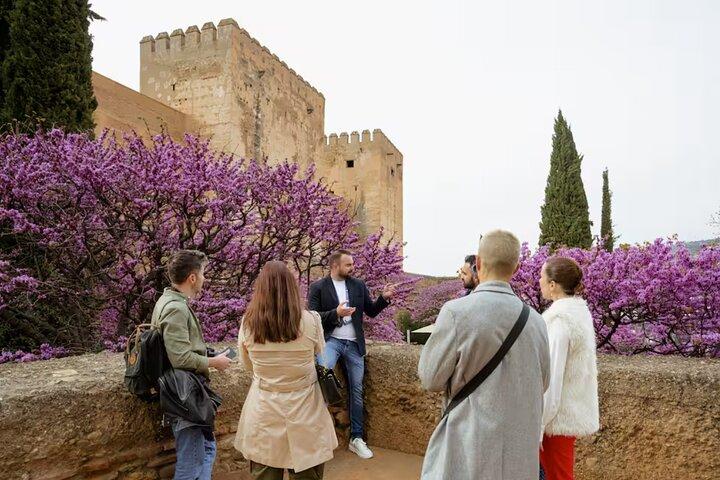 Excursión Privada a la Alhambra desde el Puerto de Málaga