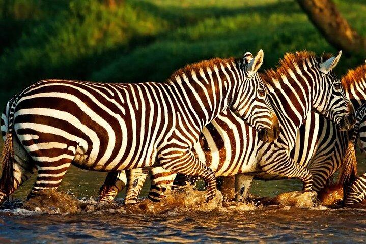 3 jours Maasai Mara avec hébergement