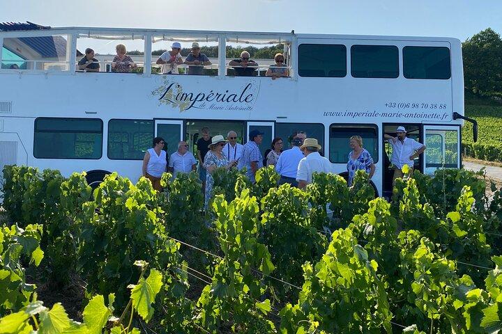 Tour Privado de Epernay e Vinhedos de Ônibus com Champanhe