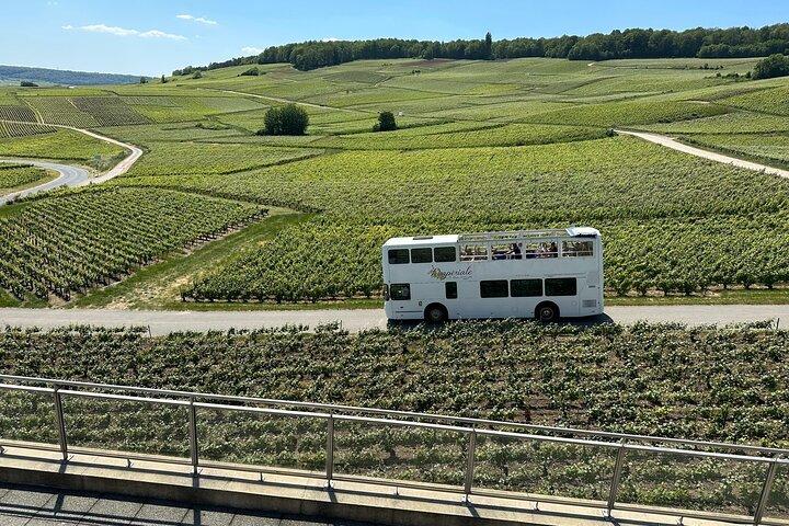 Tour Privado de Epernay e Vinhedos de Ônibus com Champanhe