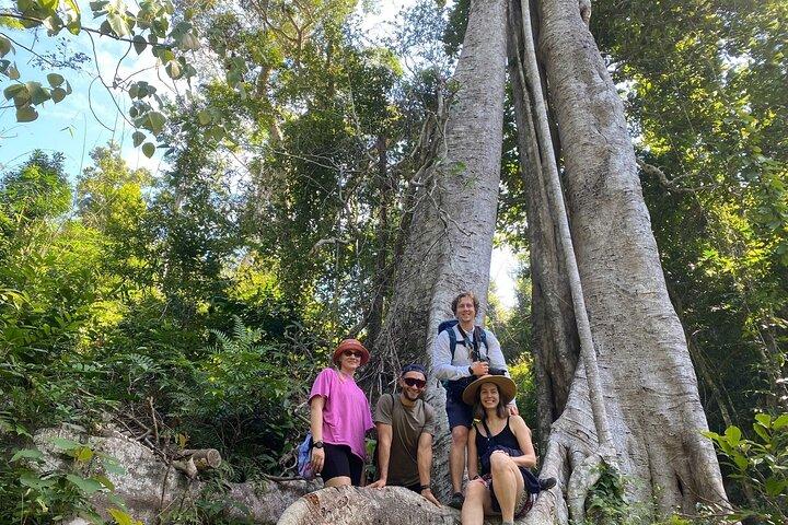 Halvdag Cat Ba National Park Trek & Hidden Cave med Pro Guide