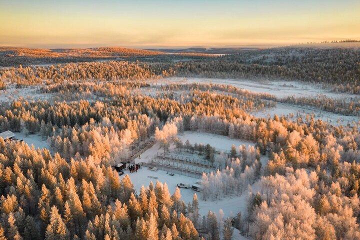 Husky Adventure 10 km