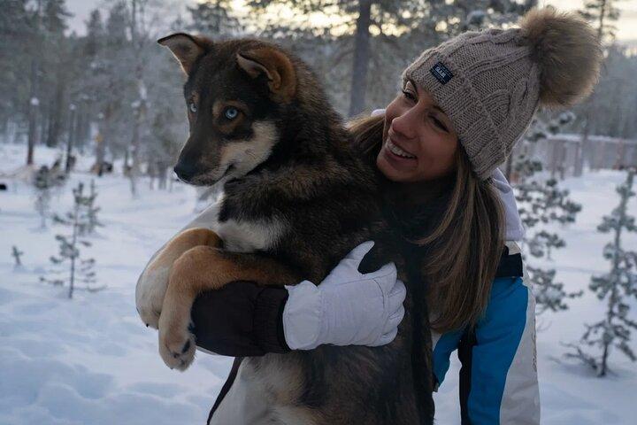 Husky Adventure 10 km