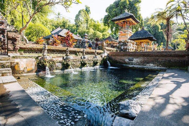 Ubud Bali halvdagstur