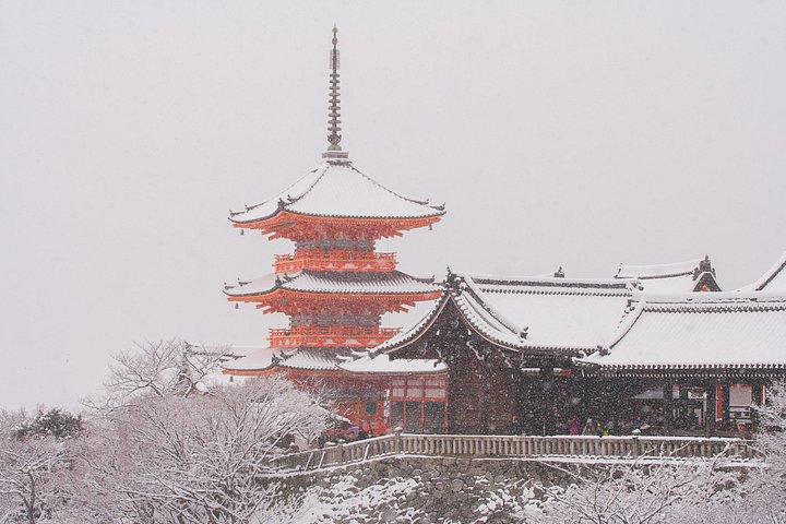 大阪発ベストオブ京都・奈良ハイライト日帰りツアー（7～9スポット）