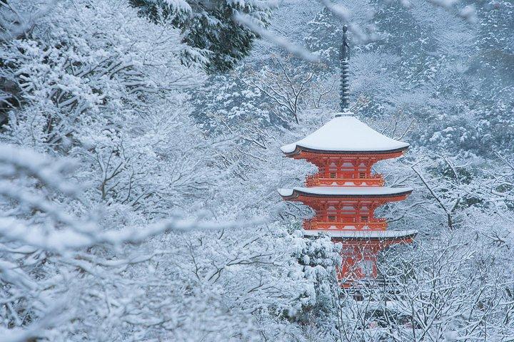 大阪発ベストオブ京都・奈良ハイライト日帰りツアー（7～9スポット）