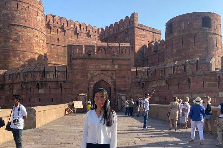 Tour privato del Taj Mahal e del Forte di Agra da Delhi con Guida
