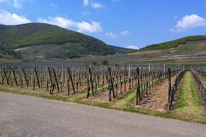 EVJF Alsace : panorama / dégustation de vins / visite du HK / spa