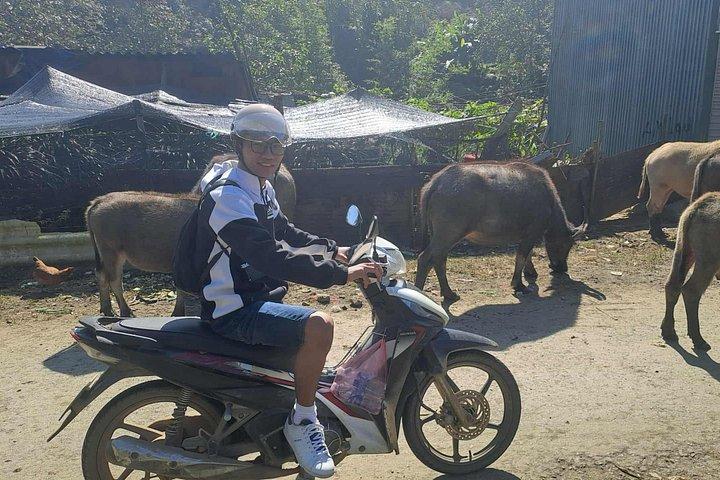 地元ガイド付きサパアドベンチャーバイクツアー