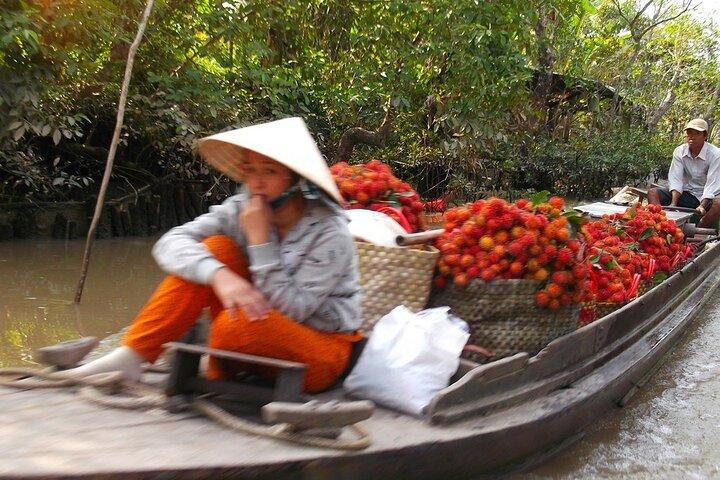 Private Mekong Delta and Saigon City Highlights