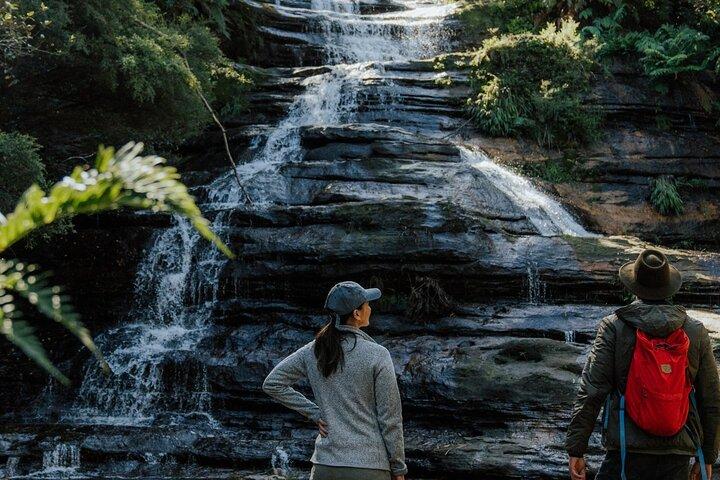 ブルーマウンテン半日ツアー(最大15名)＆ワールズ・スティープテスト・レイルウェイ