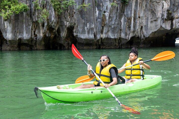 Crociera sui delfini Tour di un giorno più grande di Ha Long Premium