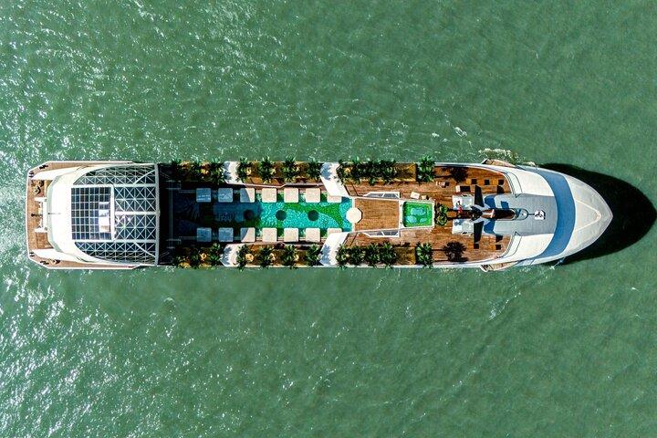 Crociera sui delfini Tour di un giorno più grande di Ha Long Premium
