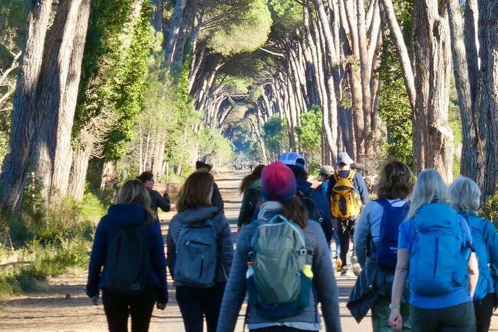 Excursión al Parque San Rossore