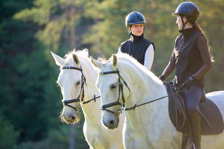 Exclusieve Paardrijervaring en Wijnproeverij