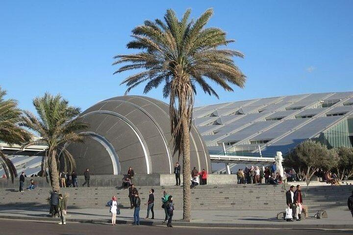 チケット、ガイド、昼食付きカイロからアレクサンドリア日帰り旅行。