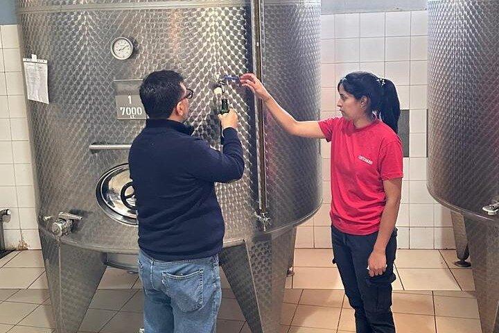 Numerose degustazioni presso 3 cantine e 1 uliveto