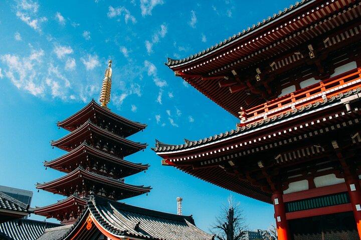 Tour privado personalizado de Tokio (debe ver lugares en 1 día)