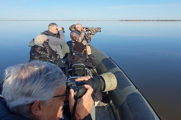 Lisbon: Birdwatching Boat Tour - Tagus Estuary