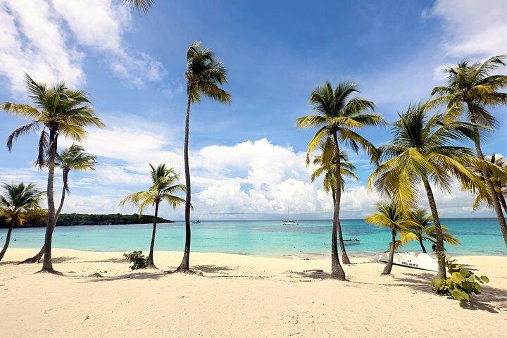 Isla Catalina All Inclusive Snorkel and Beach Day from Punta Cana